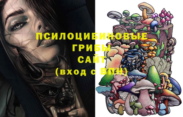 соль курить ск Богданович