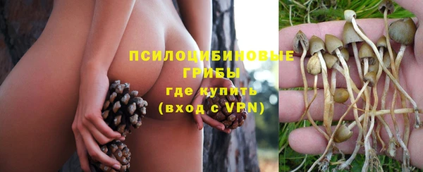 кокаин премиум Богородицк