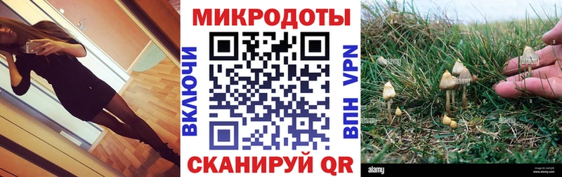 маркетплейс Telegram  Курчатов  Псилоцибиновые грибы GOLDEN TEACHER  что такое  